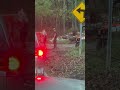 Militia Members Out After Hurricane Helene Western North Carolina