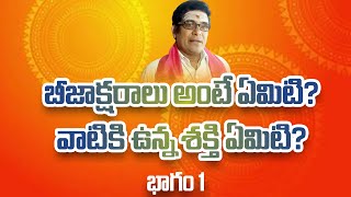 బీజాక్షరాలు అంటే ఏమిటి వాటికీ ఉన్న శక్తీ ఏమిటి |The Cosmic Mantras in Santana Dharma..