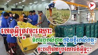 ហេតុអ្វីត្រូវចុះឈ្មោះចំការឬកសិដ្ឋានក្នុងមន្ទីរកសិកម្ម?ចុះបញ្ជីបានប្រយោជន៍អ្វីខ្លះ? | Sa Thoura