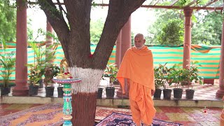 Worldwide 'Prakruti Vandan' by Thousands of BAPS Saints and Devotees, India