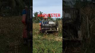 HARVESTER