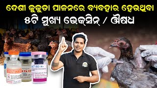 Vaccination for desi kukuda | ଦେଶୀ କୁକୁଡ଼ା ଔଷଧ | Desi kukuda farming odisha