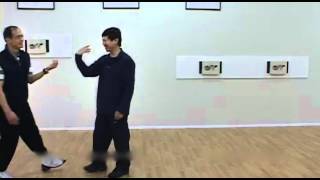 Yang Family Tai Chi Q&A Passing Palm