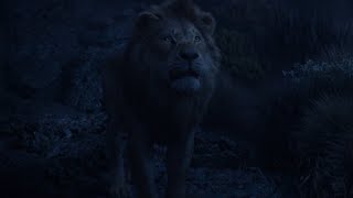 Reflections of Mufasa | The Lion King (2019)