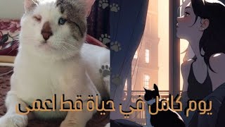 #يوم كامل في حياة قط اعمى 🐈  || A whole day in the life of a blind cat 🐾✨