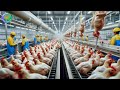 Inside the Chicken Factory: Processing Millions of Chickens for Meat | Process Area