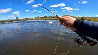 Fly Fishing in New South Wales for Brown and Rainbow Trout!