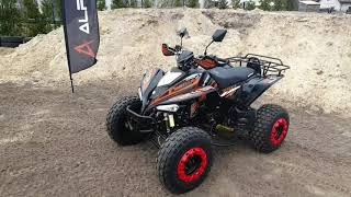 Quad 250 Bashan Alfarad