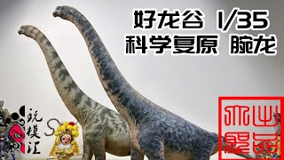 （玩模汇）好龙谷 科学复原 腕龙Good Dragon Valley Scientific Restoration Brachiosaurus