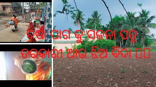 ବର୍ଷା ପାଗ କୁ ସଜନା ପତ୍ର ତରକାରୀ  | ଝିଅ ବିଦାୟ |  କାନ୍ଦେ ନା ଲୋ  |