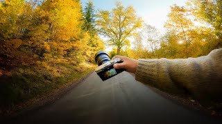 Relaxing Nature Photography in Autumn Forest (POV)