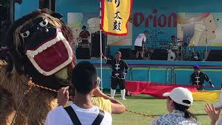 琉球国祭り太鼓八重山支部演舞 オリオンビアフェスト2019石垣島