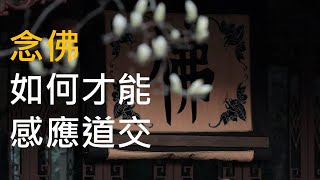 念佛如何才能感應道交 -- 大安法師 | 念念都是阿彌陀佛，就是最好的境界，也就算最妙的感應了