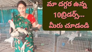 10బ్రిడర్స్ ఓకే వీడియో లో చూడండి మీకు ఏది నచ్చిందో కామెంట్ చెయ్యండి