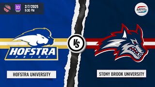 AAU Division 3 Mens Ice Hockey | Hofstra University vs Stony Brook University