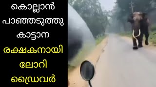 കൊല്ലാനായി ഓടിച്ച കാട്ടാനയിൽ നിന്നും വഴിയാത്രക്കാരെ രക്ഷിച്ച ലോറി ഡ്രൈവർ Wild elephant attack kerala