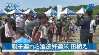 親子連れら酒造好適米　田植え　常陸太田自酒プロジェクト