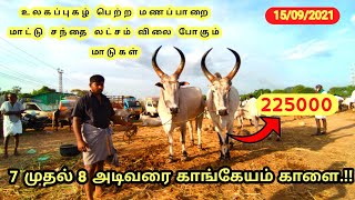 மணப்பாறை மாட்டு சந்தை விலை  நிலவரம் | mysteryofvillage | 15/09/2021