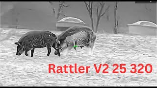 AGM Rattler V2 25-320 Review