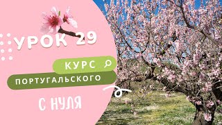 Урок 29. Курс португальского. P.P.S. vs. Imperfeito