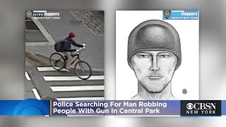 Armed Robber In Central Park