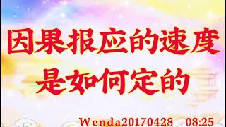 卢台长开示：因果报应的速度是如何定的Wenda20170428  08:25