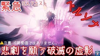 PSO2 緊急 悲劇を願う破滅の虚影(*´꒳`*) 12人クエスト