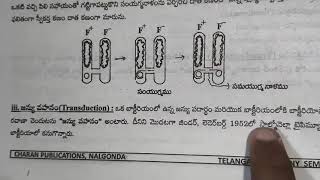 బాక్టీరియాలో పోషణను ఆధారంగా చేసుకొని బాక్టీరియాలను రకాలుగా వర్గీకరించ