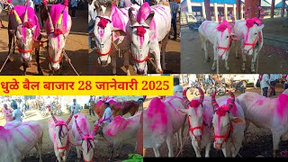 धुळे बैल बाजार live 🔴 28 जानेवारी 2025 || Dhule Bail Bajar #बैलबाजार #dhule