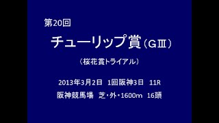 2013年 第20回 チューリップ賞（GⅢ） クロフネサプライズ