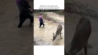 Hilarious Deer Frolicks in Pond with Kids!