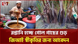 কলাপাড়ার গোল গাছের রস ও গুড়ের চাহিদা বাড়ছে | Gol Tree Molases | Ekattor TV