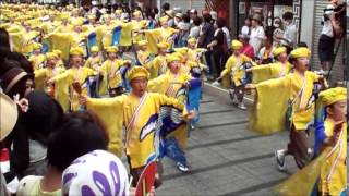 京町・新京橋「ゑびすしばてん連）高知よさこい2014・はりまや橋競演場