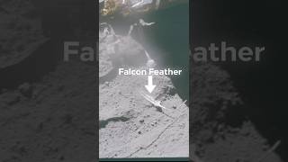 Astronauts Left Some Weird Stuff On The Moon