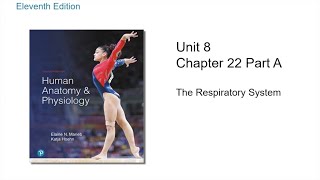 Anatomy and Physiology Chapter 22 Part A