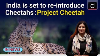 India is set to re-introduce Cheetahs: Project Cheetah | IN NEWS | Drishti IAS English