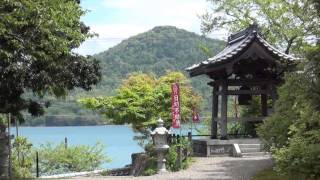 如意寺　関西花の寺 第七番　５月　山野草