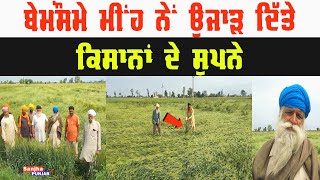 ਬੇਮੌਸਮੇ ਮੀਂਹ ਨੇਂ ਉਜਾ ੜੇ ਕਿਸਾਨਾਂ ਦੇ ਸੁਪਨੇ | Heavy Rain | Kisan | Sanjha Punjab Tv