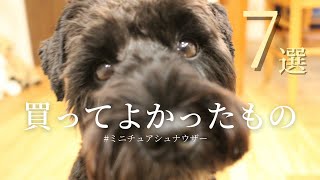 【2021】買ってよかった犬用アイテム🐶  | ミニチュアシュナウザー