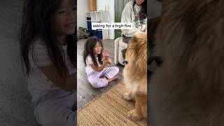 Our dog meets a kid for the first time *His Reaction*