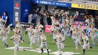 【2023年日本シリーズ】阪神タイガース、38年ぶりの日本一！岡田監督歓喜の胴上げ！オリックスとの壮絶な関西ダービーを制す！ 2023.11.5