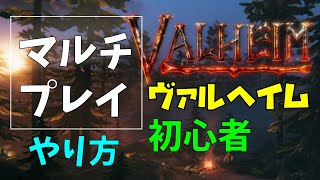 【初心者】Valheim（ヴァルヘイム）バルヘイム マルチプレイのやり方 意外とわかりにくい |マイクラを超えそうな予感の神ゲー