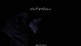 Mery Nabiﷺ Ne Farmaya__Jab Koee Safar Se Wapas Aye |Ajmal Raja Qadri #shots#viralshort#islamicshorts