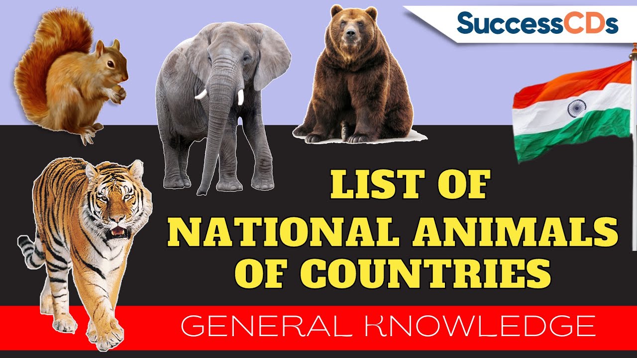 List Of National Animals Of All Countries In The World | National ...