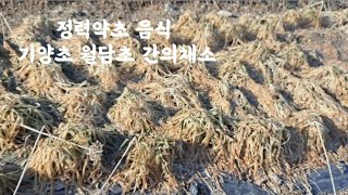 기양초 월담초 정력약초 음식 간의채소  | 건강정보 HERBS