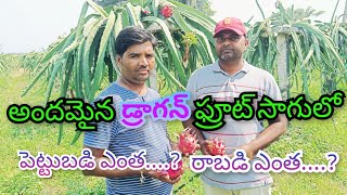 Dragon Fruit Farming in Telugu |How to Start Dragon Fruit Farming |డ్రాగన్ ఫ్రూట్ సాగు |P. BOSEBABU