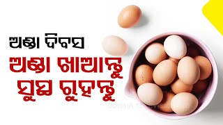 World Egg Day 2023: Egg production has increased across the country including Odisha