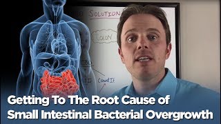 The SIBO Solution - Getting To The Root Cause of Small Intestinal Bacterial Overgrowth