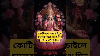 মা লক্ষ্মীর কৃপা পেতে চালের পাত্রে রেখে দিন এই একটি জিনিস #shorts #shortsfeed #facts #hindufestival