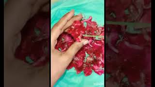 #கோழி கொண்டை பூவை இப்படி கோர்த்து பாருங்க#kozhikondai  flower  string  garland#